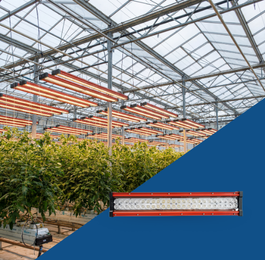 Greenhouse Lighting